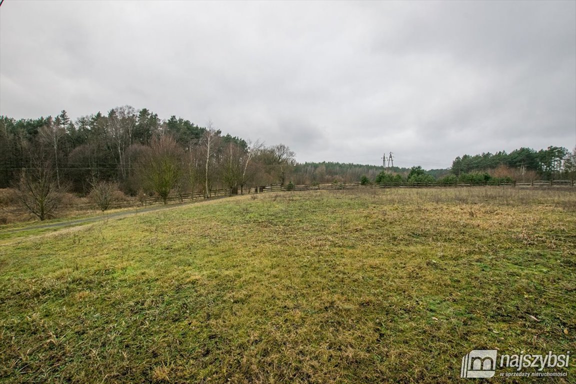 Lokal użytkowy na sprzedaż Bledzew  440m2 Foto 33