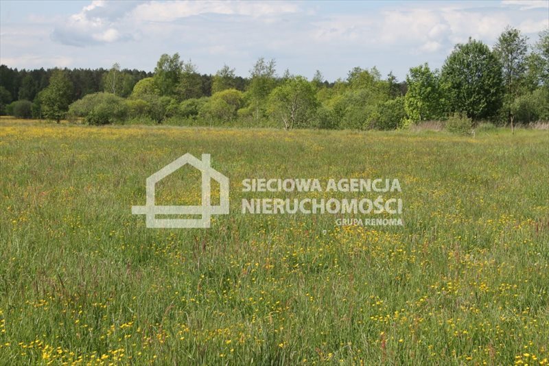 Działka budowlana na sprzedaż Lubowidz 1 083m2 Foto 1 Działka budowlana na sprzedaż Lubowidz 1 083m2 Foto 1