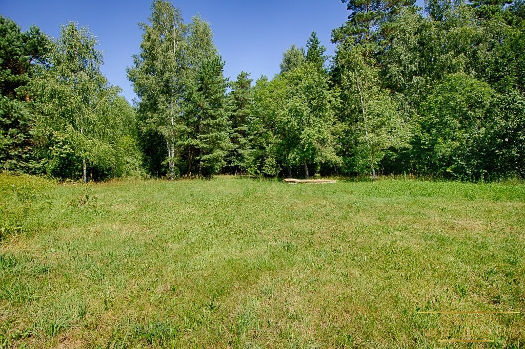 Działka rolna na sprzedaż Kuplisk, Kamienica  28 000m2 Foto 10