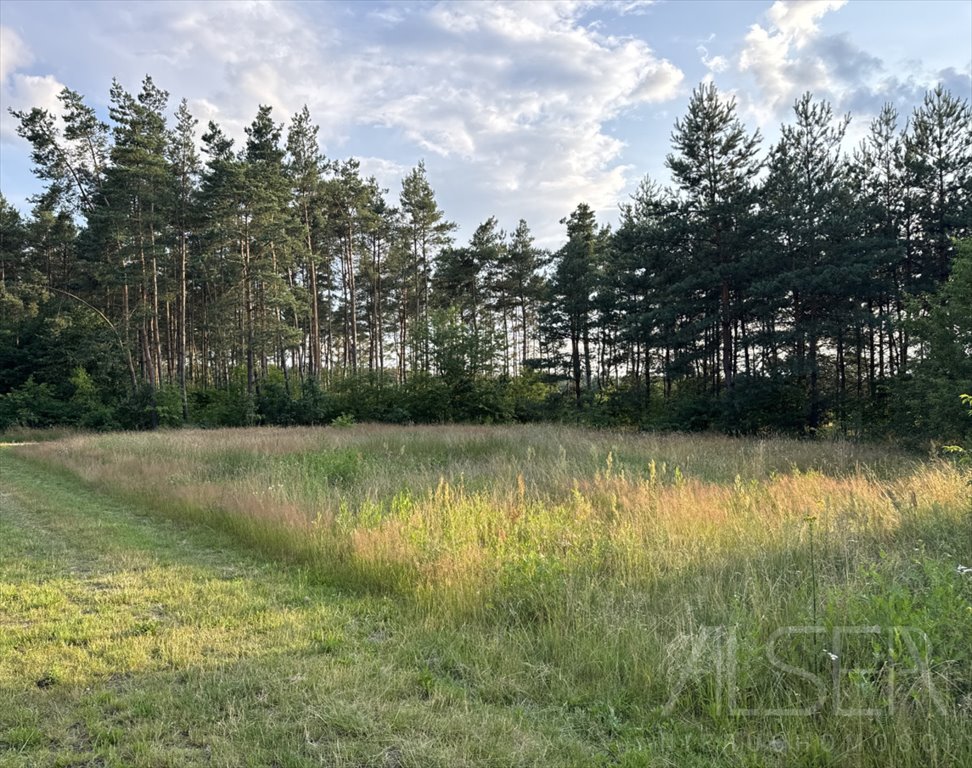 Polecam działkę 1271 m² w Kamieńczyku z warunkami zabudowy Kamieńczyk, Profesora Romana Kozłowskiego  1 271m2 Foto 1