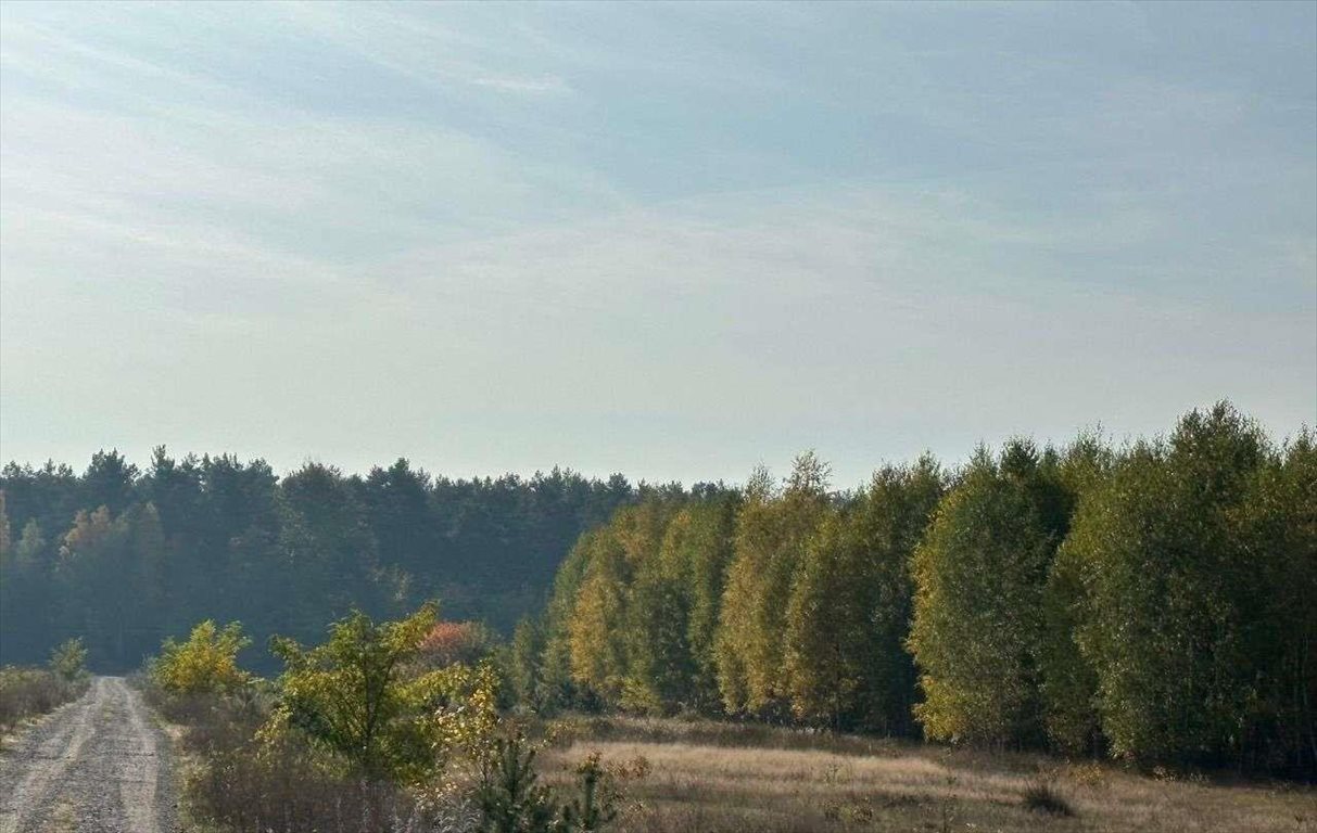 Działka budowlana na sprzedaż Krusze  845m2 Foto 3