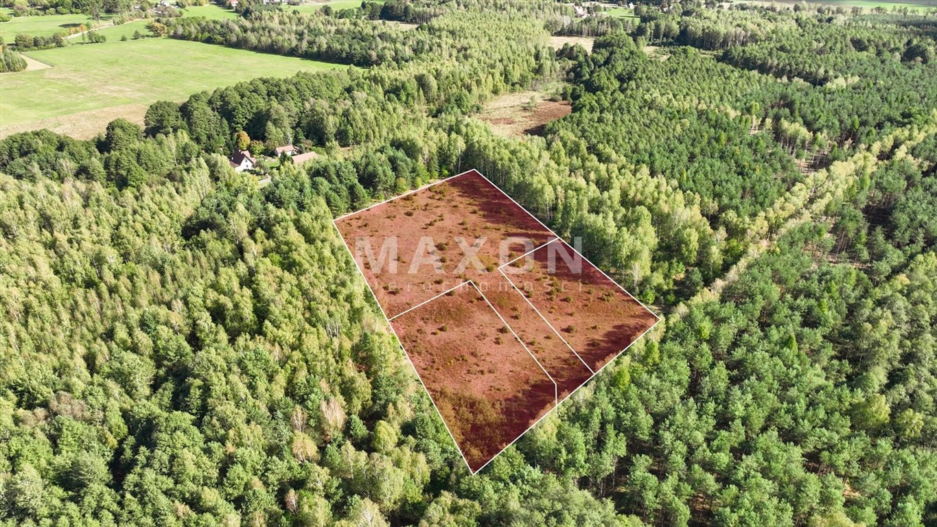 Do sprzedania działka 3000 m² pod inwestycję i zamieszkanie Sokule  3 000m2 Foto 1