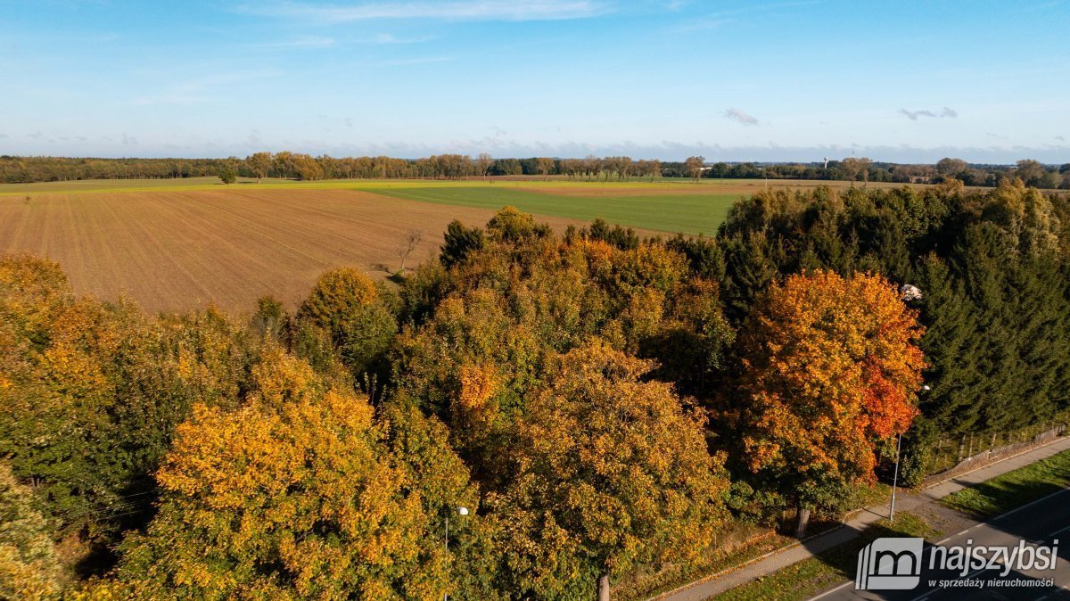 Działka rolna na sprzedaż Brojce, obrzeża  4 100m2 Foto 10