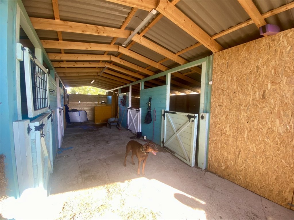 Działka budowlana na sprzedaż Marianów, Marianów  30 000m2 Foto 1