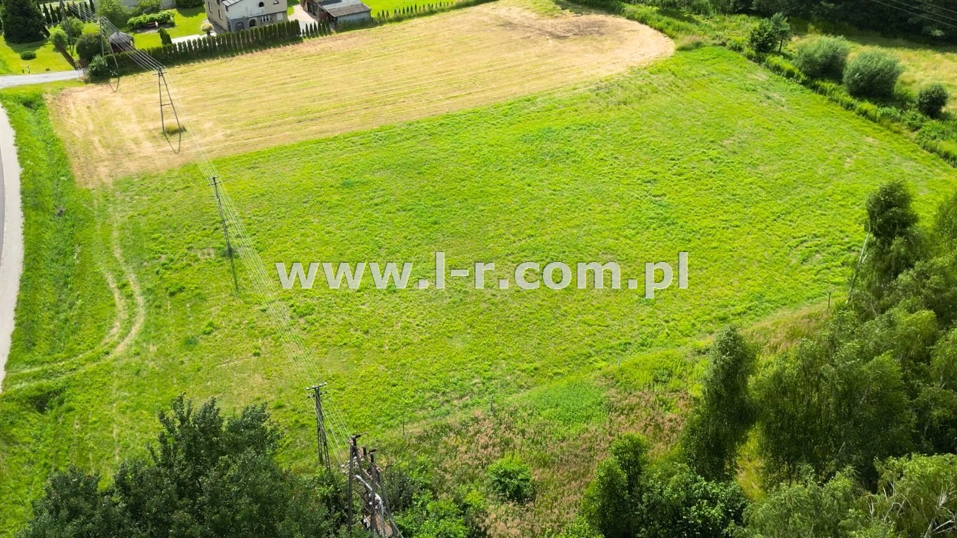 Działka inna na sprzedaż Gorzyce  2 522m2 Foto 2