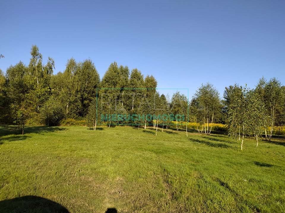 Działka inwestycyjna z domem, media, plan kanalizacji Żółwin  130 000m2 Foto 1