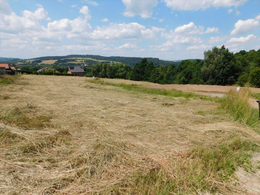 Działka budowlana na sprzedaż Boguszyn  2 000m2 Foto 1