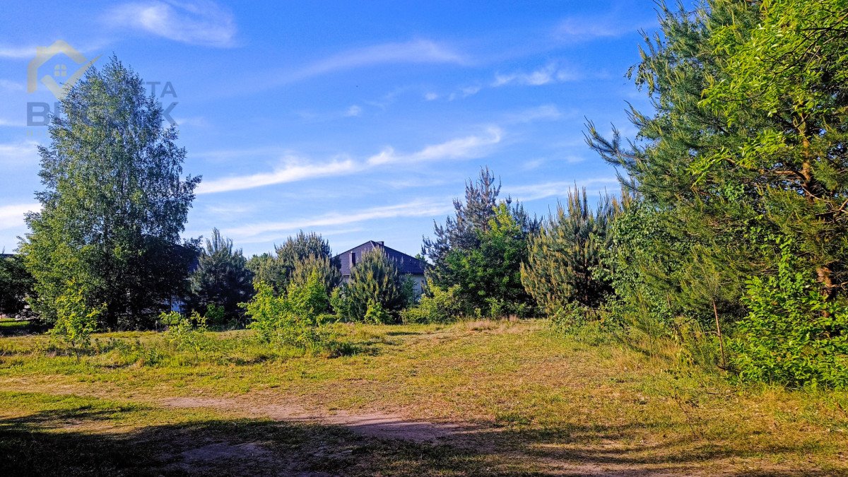 Działka budowlana na sprzedaż Adamowa Góra  1 100m2 Foto 8