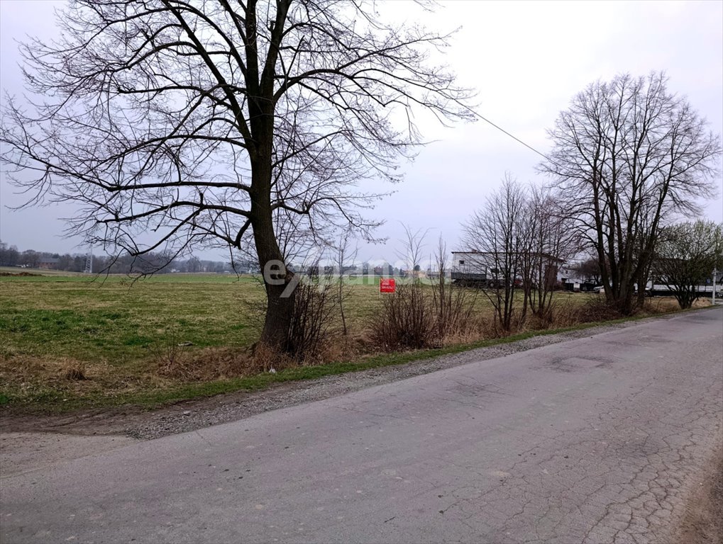 Płaska działka 1922 m² z możliwością podziału w Mikołowie Mikołów, Bujaków, Szkolna  1 922m2 Foto 1