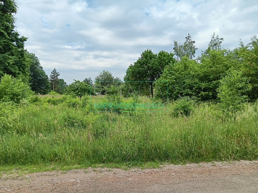 Działka budowlana na sprzedaż Żółwin  1 000m2 Foto 5