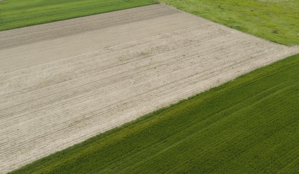 Działka budowlana na sprzedaż Srocko Małe  704m2 Foto 2