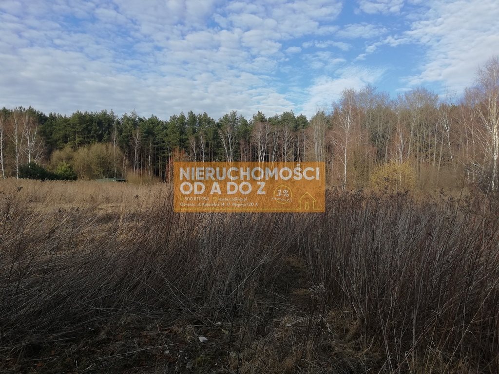 Działka budowlana na sprzedaż Otwock 6 500m2 Foto 1 Działka budowlana na sprzedaż Otwock 6 500m2 Foto 1
