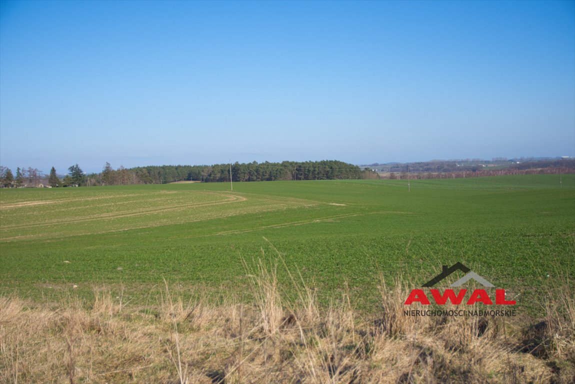 Działka gospodarstwo rolne na sprzedaż Sulicice  3 000m2 Foto 6