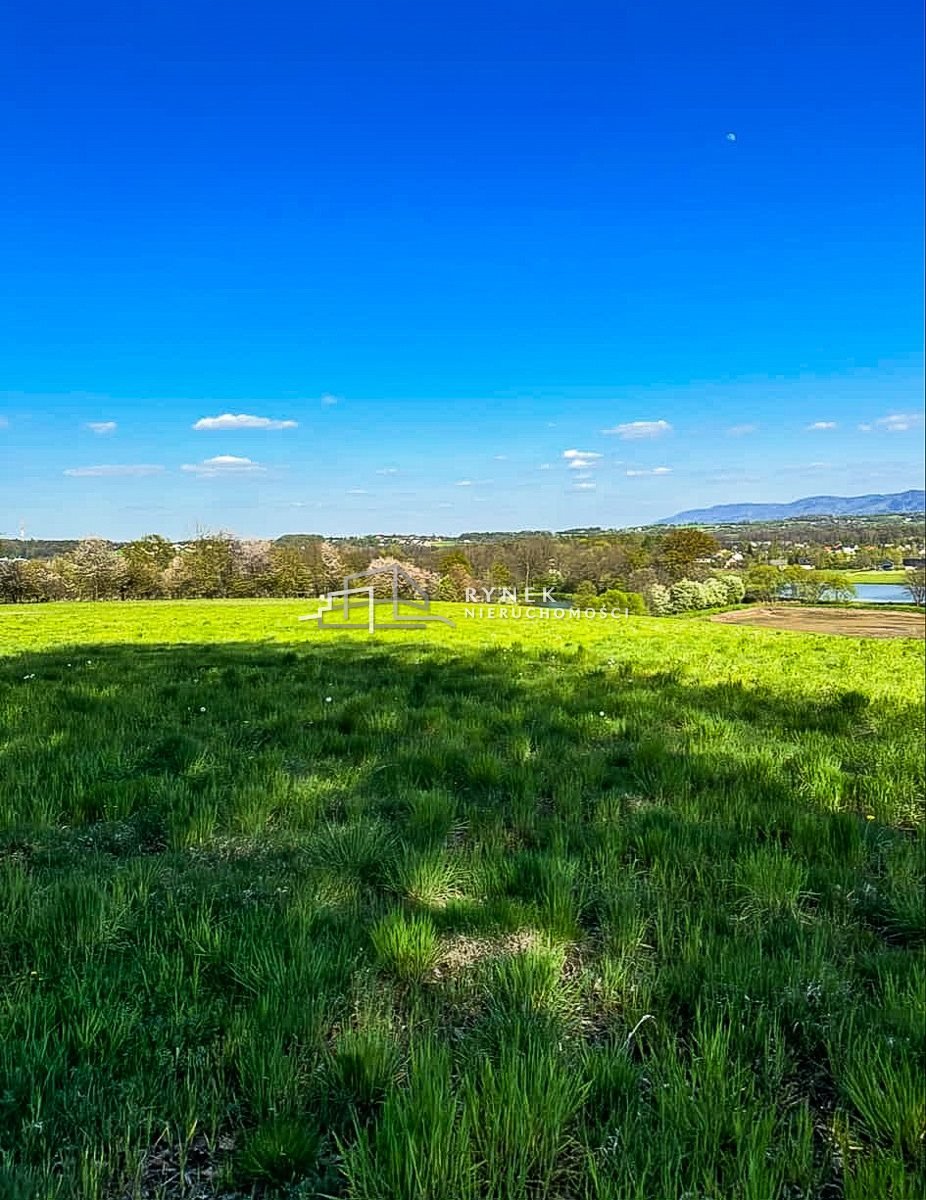 Działka inna na sprzedaż Międzyrzecze Dolne  3 030m2 Foto 7