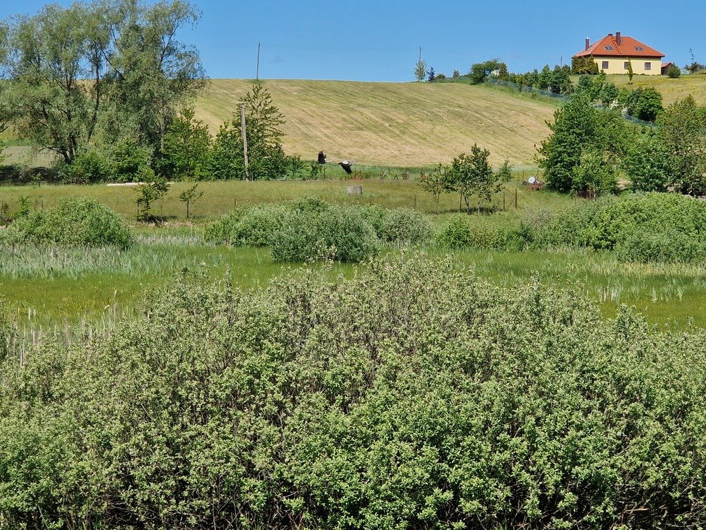 Działka budowlana na sprzedaż Szarłata, Spadzista  15 977m2 Foto 12