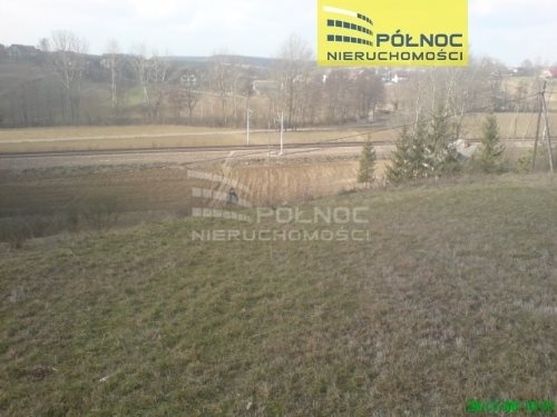 Działka budowlana na sprzedaż Orłów  10 271m2 Foto 8