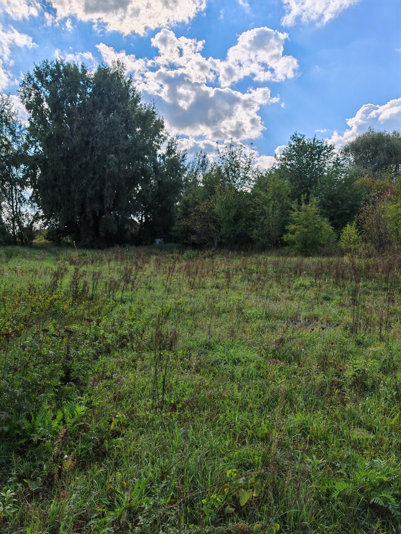 Działka inna na sprzedaż Łomianki  1 300m2 Foto 1