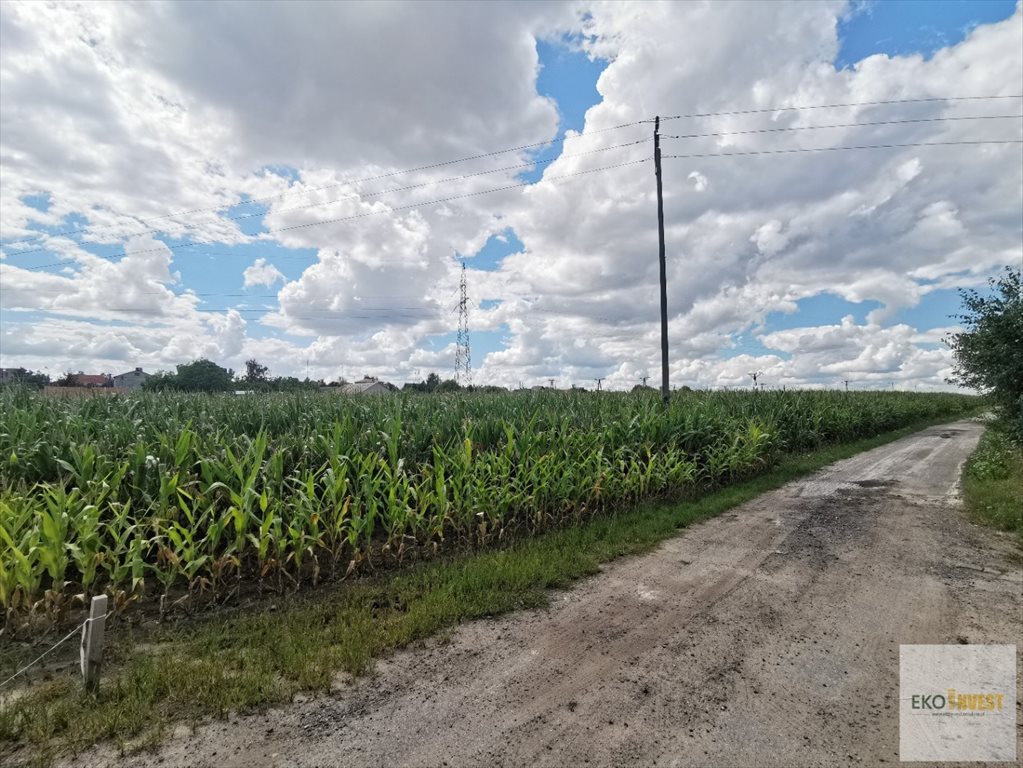 Działka budowlana na sprzedaż pułtuski  1 000m2 Foto 3