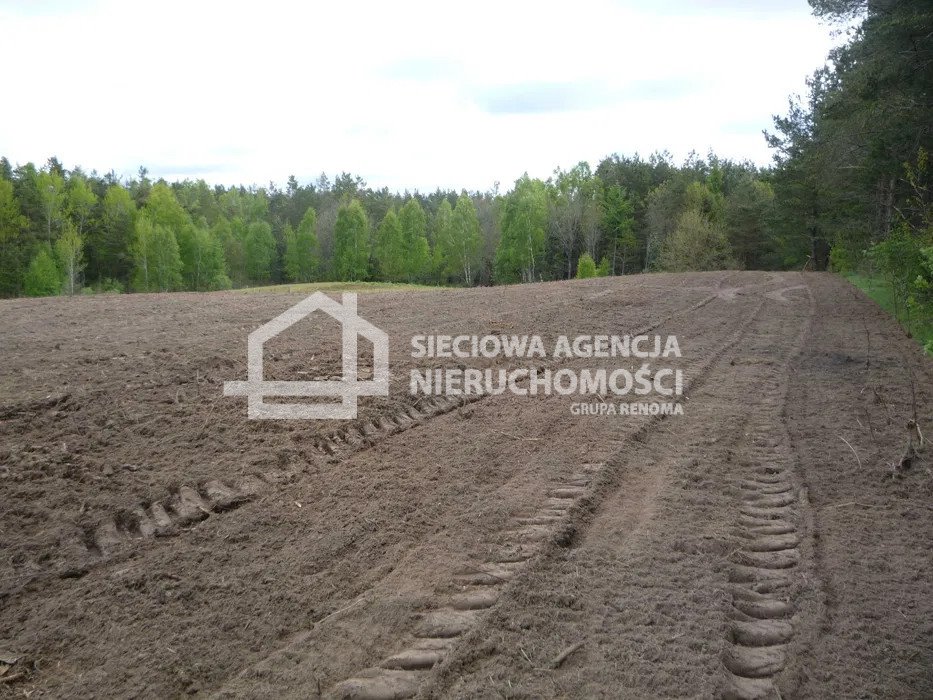 Działka rolna na sprzedaż Kobylasz  5 601m2 Foto 1