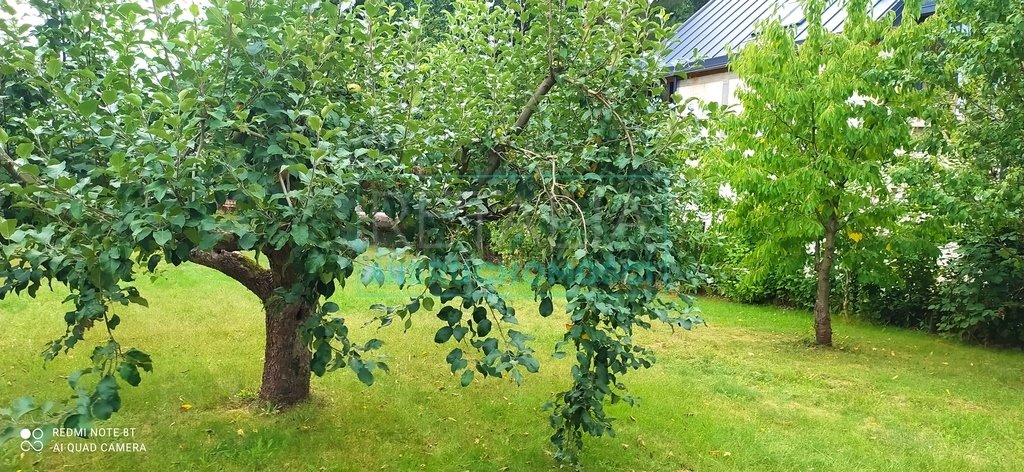 Działka 1000 m² w Nowej Wsi – świetna lokalizacja, media, blisko WKD Nowa Wieś  1 000m2 Foto 1