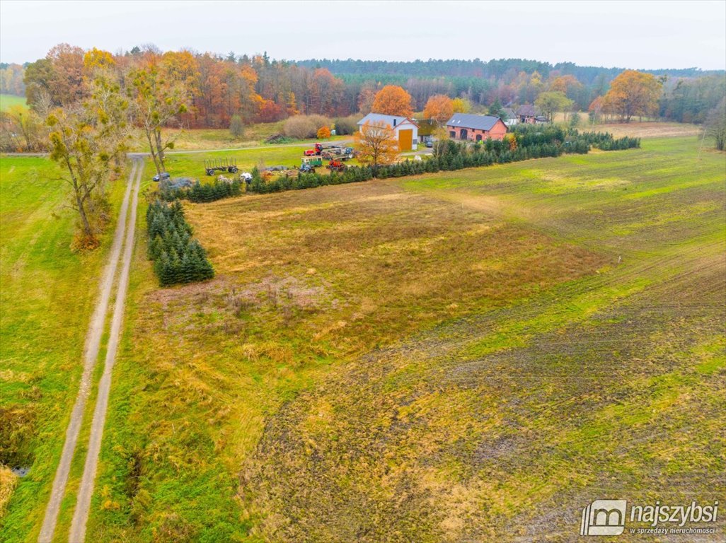 Działka budowlana na sprzedaż Węgorza, Wieś  1 557m2 Foto 7