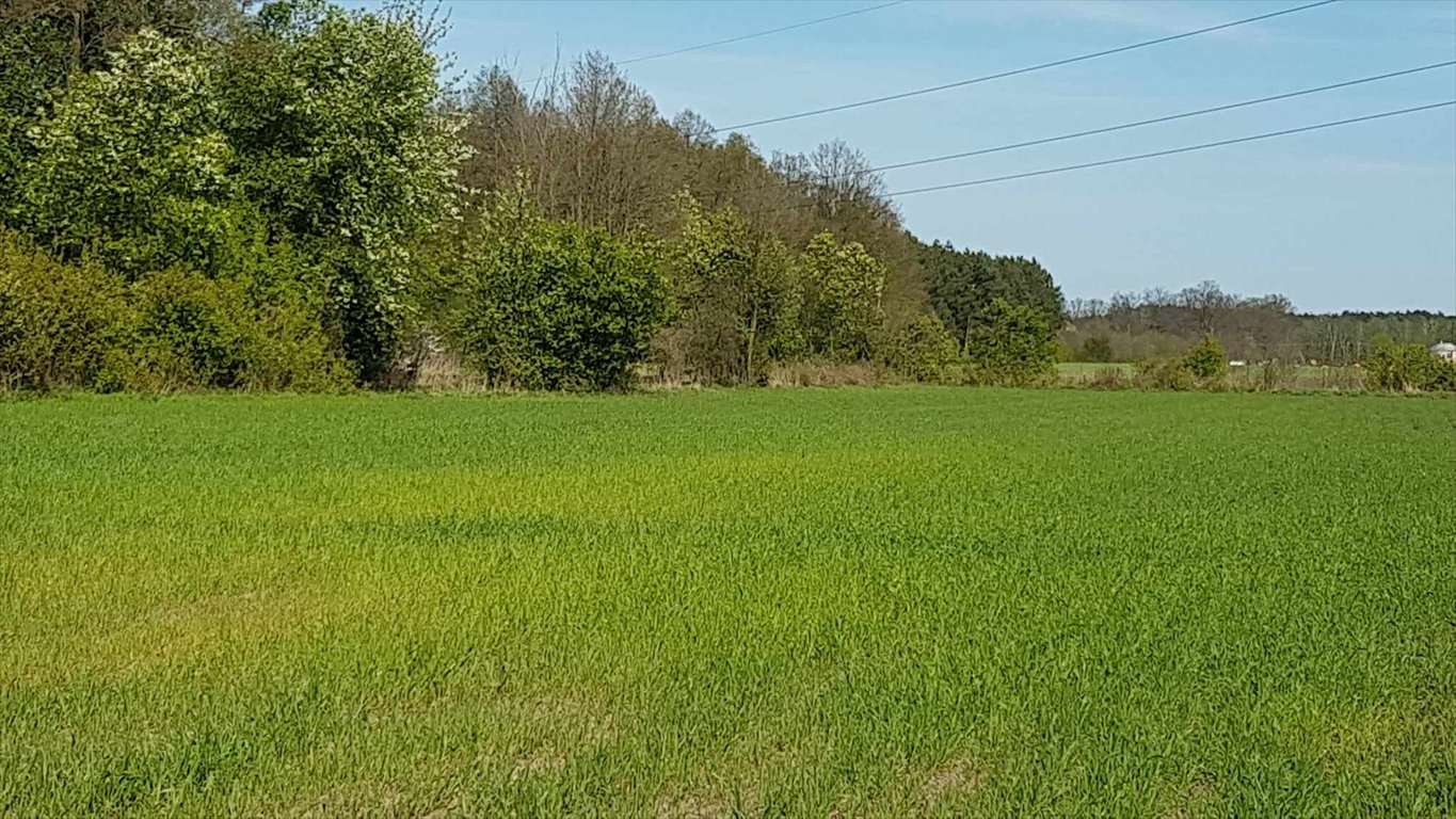 Działka budowlana na sprzedaż Miękiny  1 800m2 Foto 5