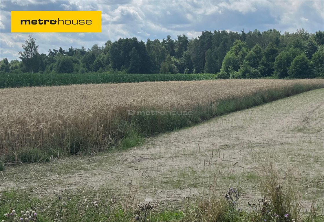 Działka inna na sprzedaż Karwacz  1 900m2 Foto 1