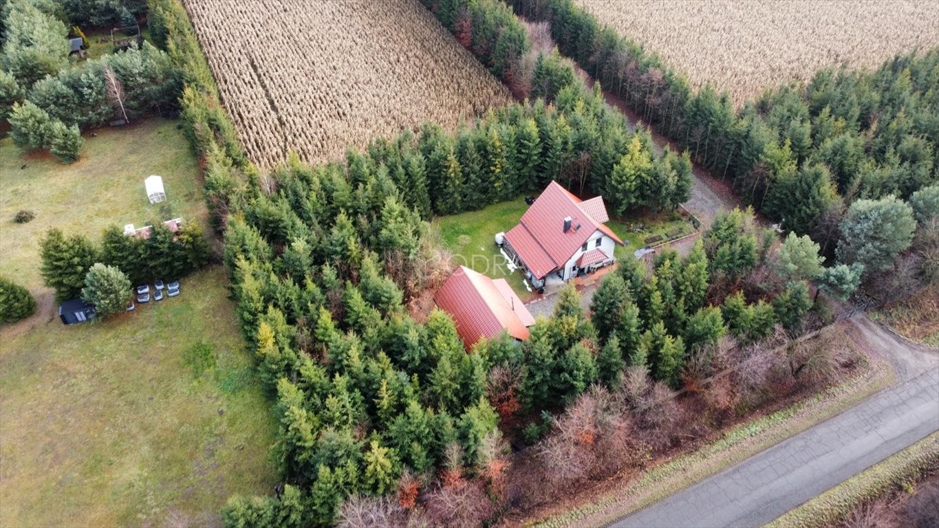 Dom wolnostojący z budynkiem gospodarczym 147 m2 - piękna okolica Jelcz-Laskowice  147m2 Foto 1