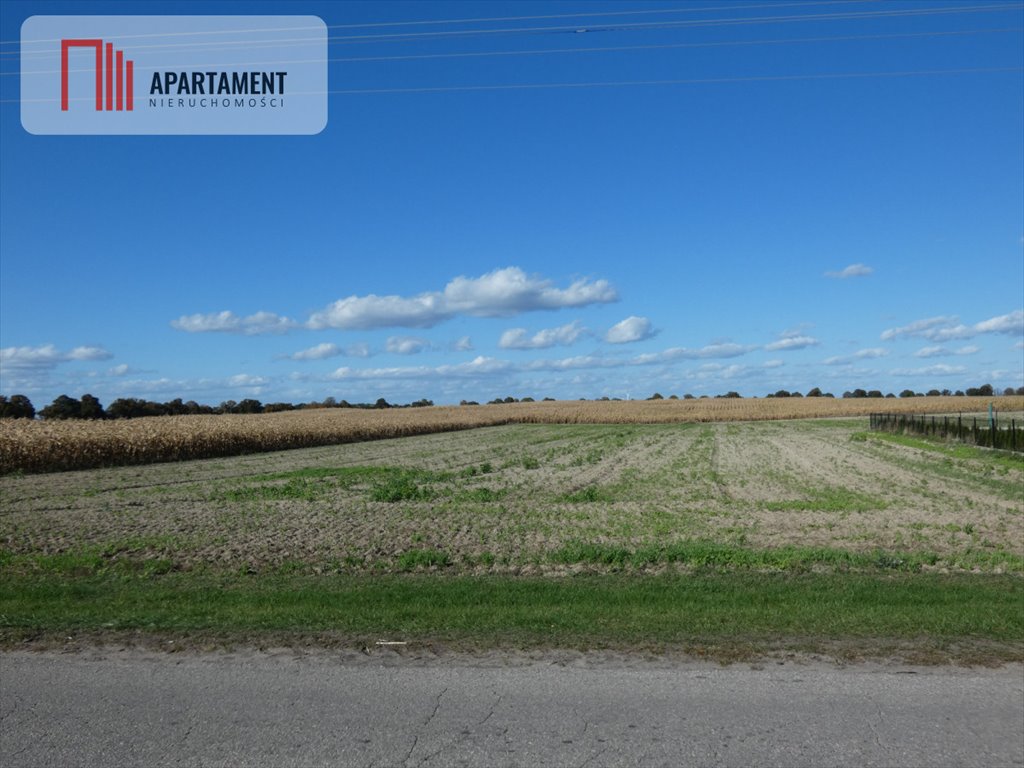 Działka budowlana na sprzedaż Żnin  900m2 Foto 4