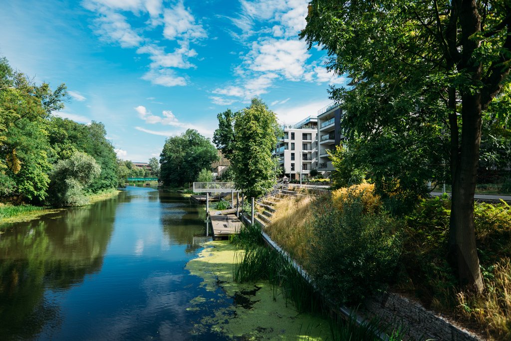 Mieszkanie dwupokojowe na wynajem Wrocław, Walońska  43m2 Foto 18