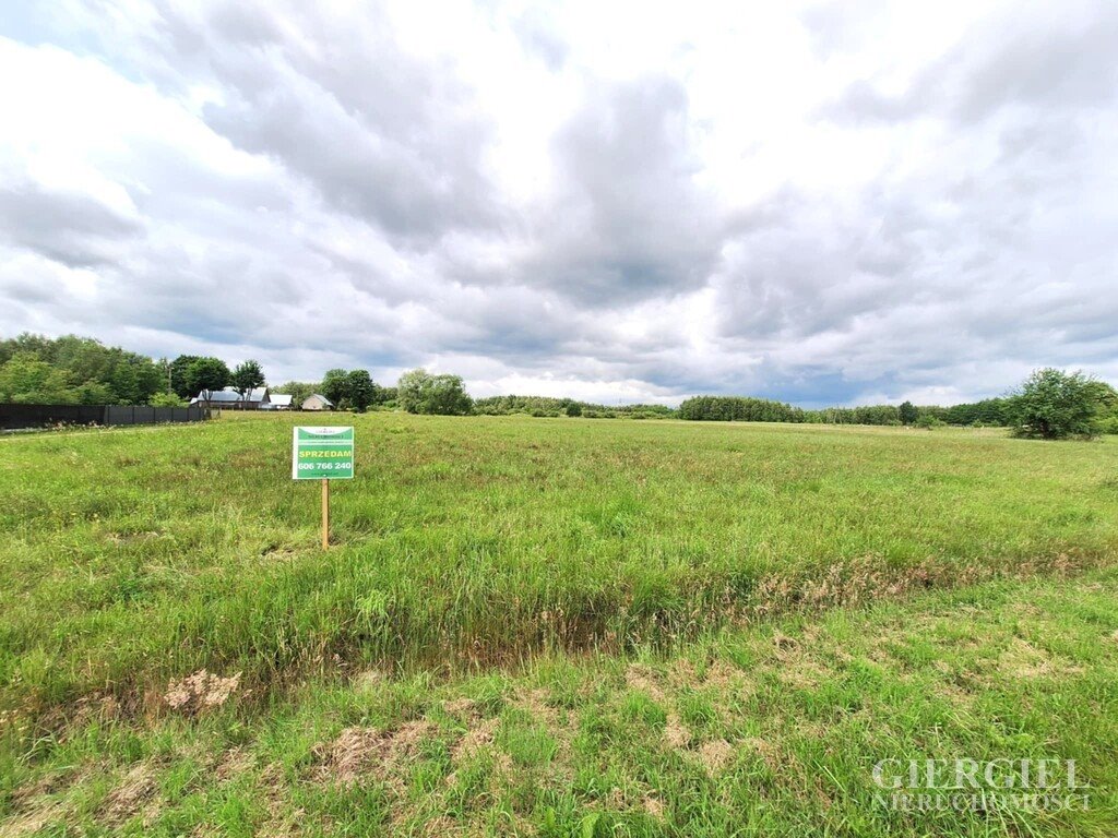 Działka 1,99 ha z warunkami zabudowy i mediami Niwiska  19 900m2 Foto 1