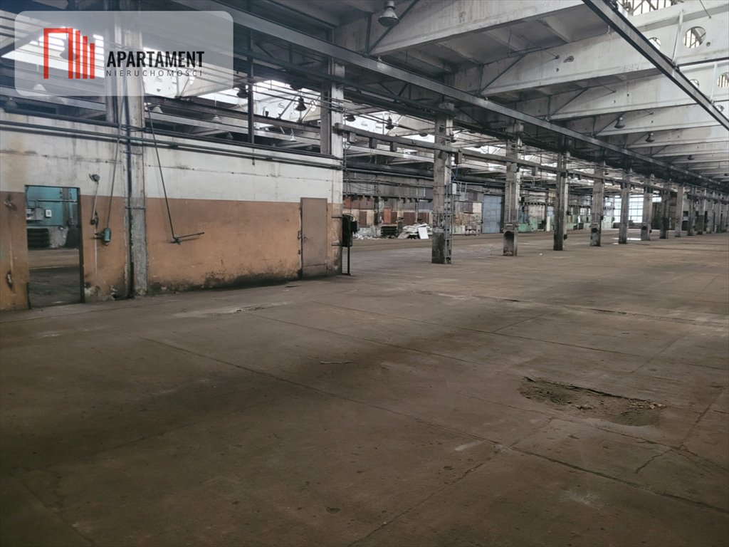 Lokal użytkowy na wynajem Grudziądz  500m2 Foto 2