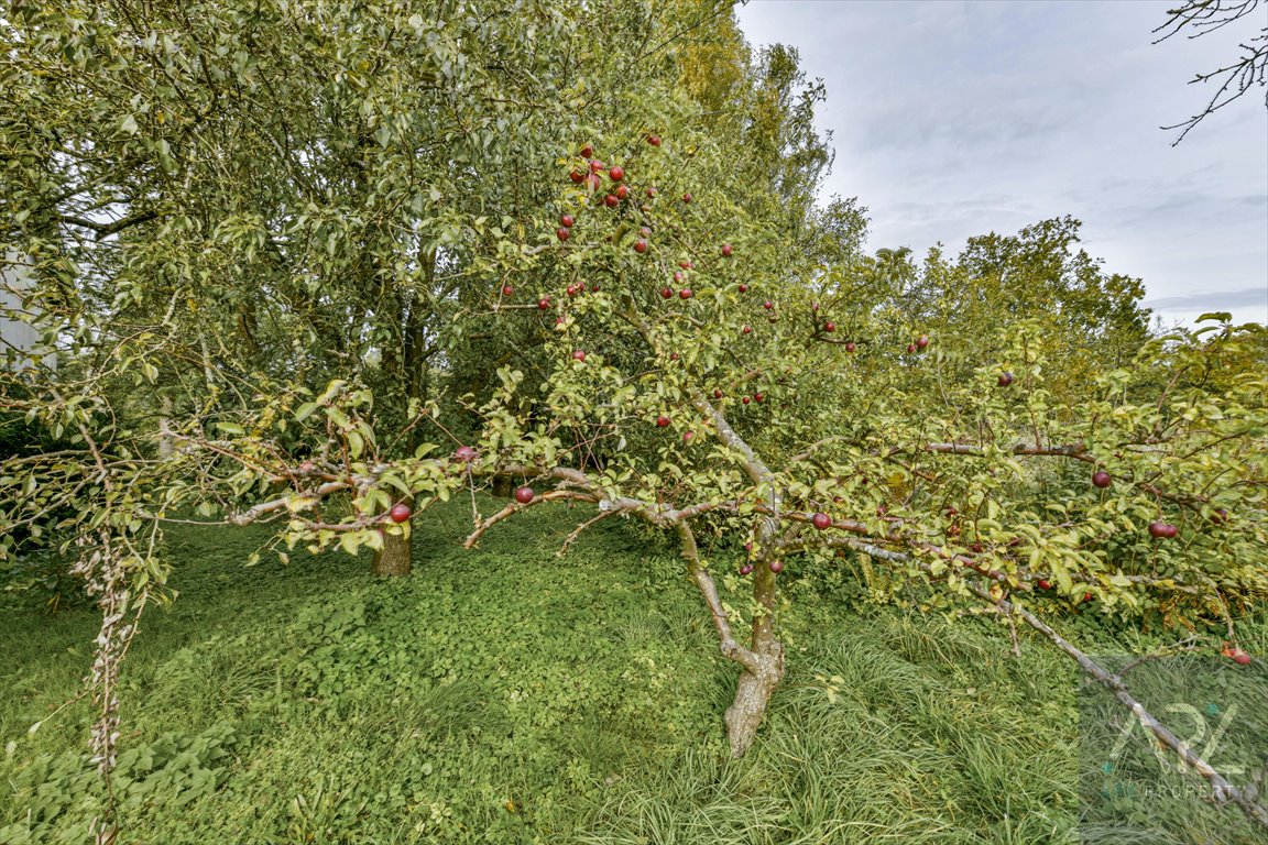 Dom na sprzedaż Karcino  195m2 Foto 14