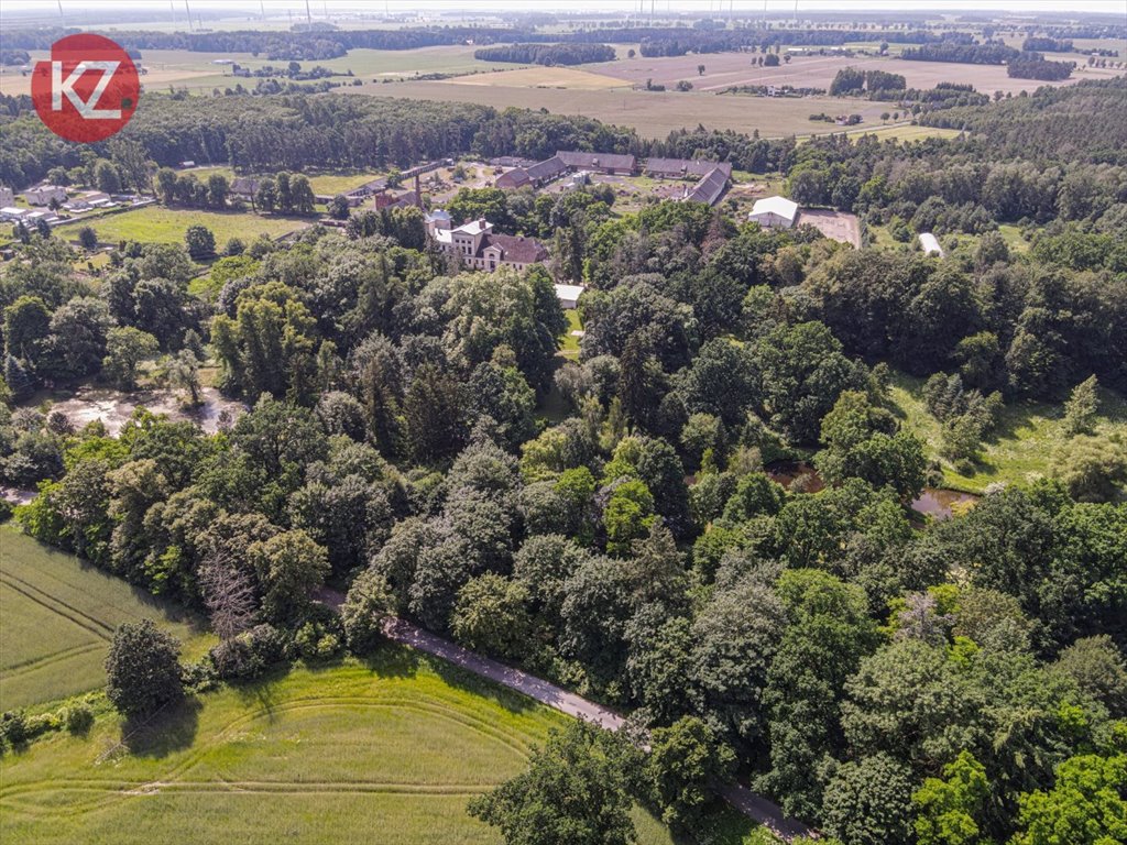 Lokal użytkowy na sprzedaż Jabłonowo  1 767m2 Foto 9