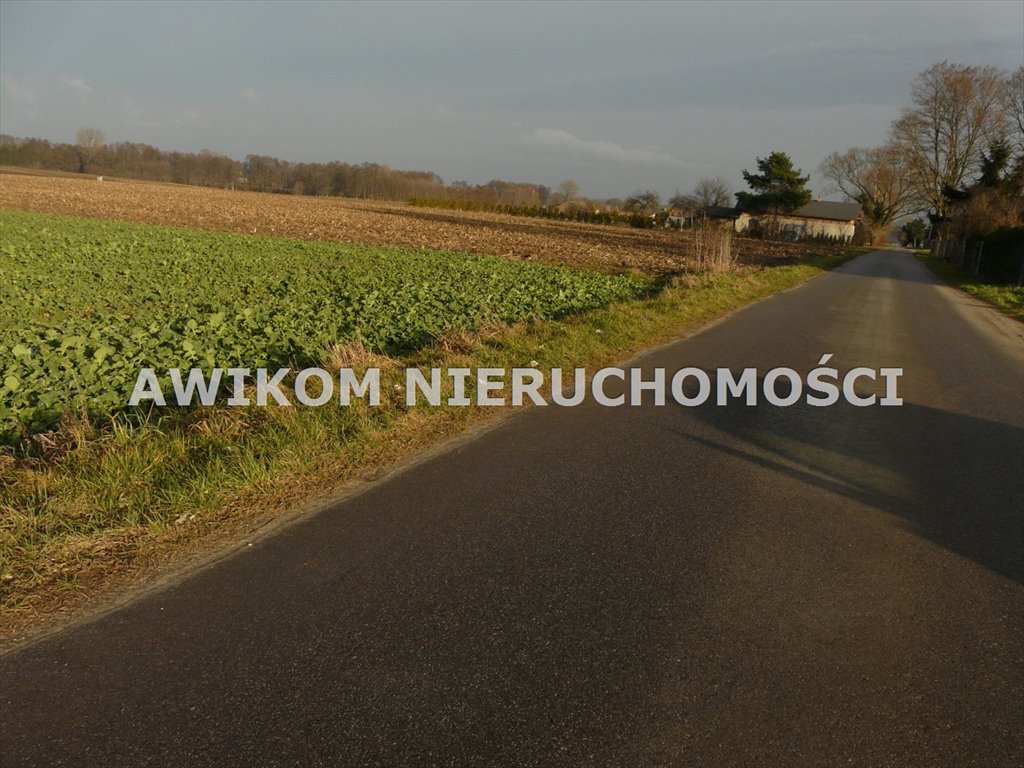 Działka rolna na sprzedaż Nowy Kawęczyn, Nowy Dwór-Parcela  10 900m2 Foto 3
