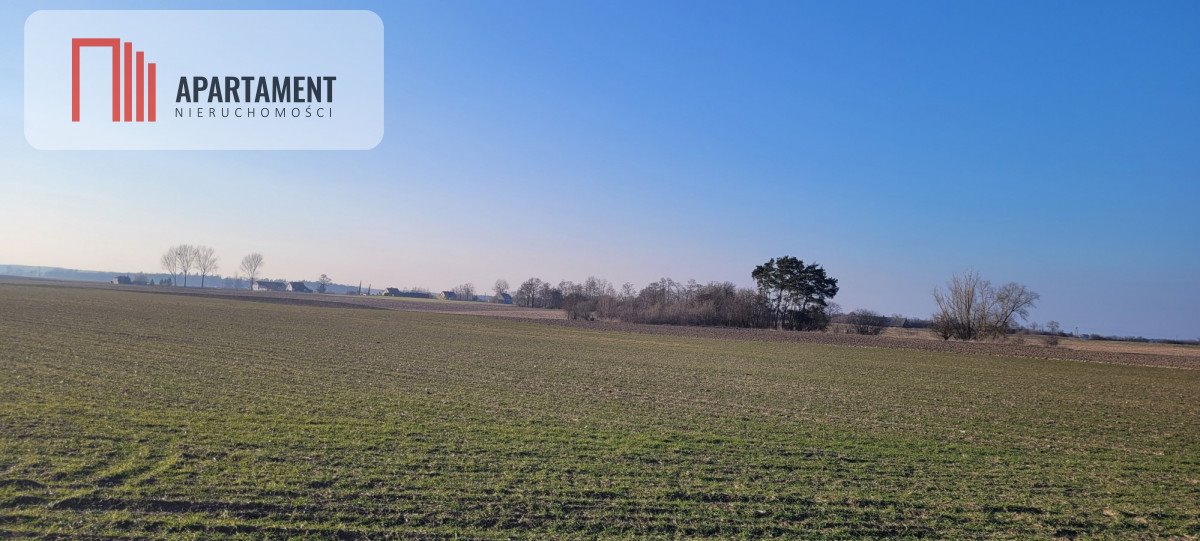 Działka gospodarstwo rolne na sprzedaż Będzitówek  16 400m2 Foto 3