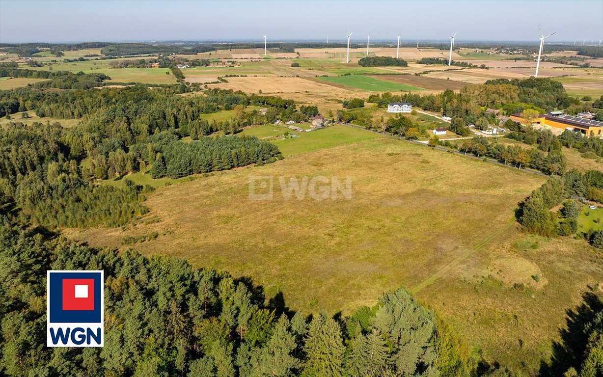 Działka siedliskowa na sprzedaż Kanin, Kanin  3 000m2 Foto 10