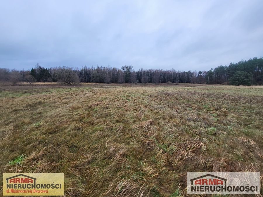 Działka rolna na sprzedaż Szadzko  11 600m2 Foto 6