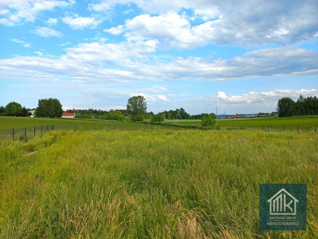 Działka budowlana na sprzedaż Dąbrowa  1 000m2 Foto 1