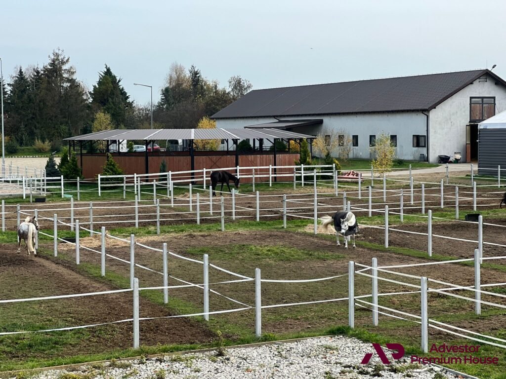 Działka i obiekty dla miłośników koni – 15 815 m2 z stajnią i halą Szamotuły  15 815m2 Foto 1
