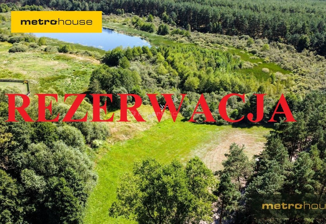 Działka rolna na sprzedaż Kurcze  8 071m2 Foto 1
