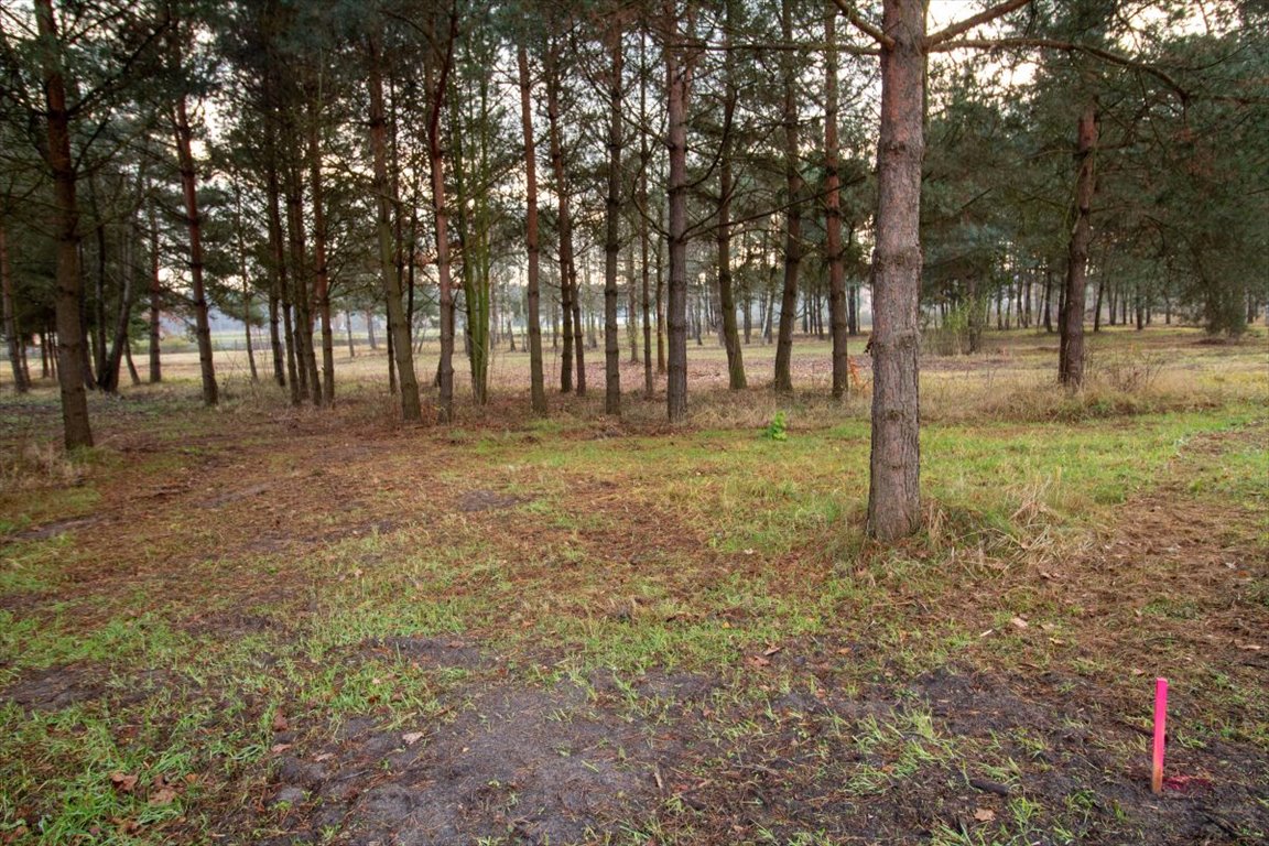 Działka budowlana na sprzedaż Koszęcin, Słowików  500m2 Foto 7