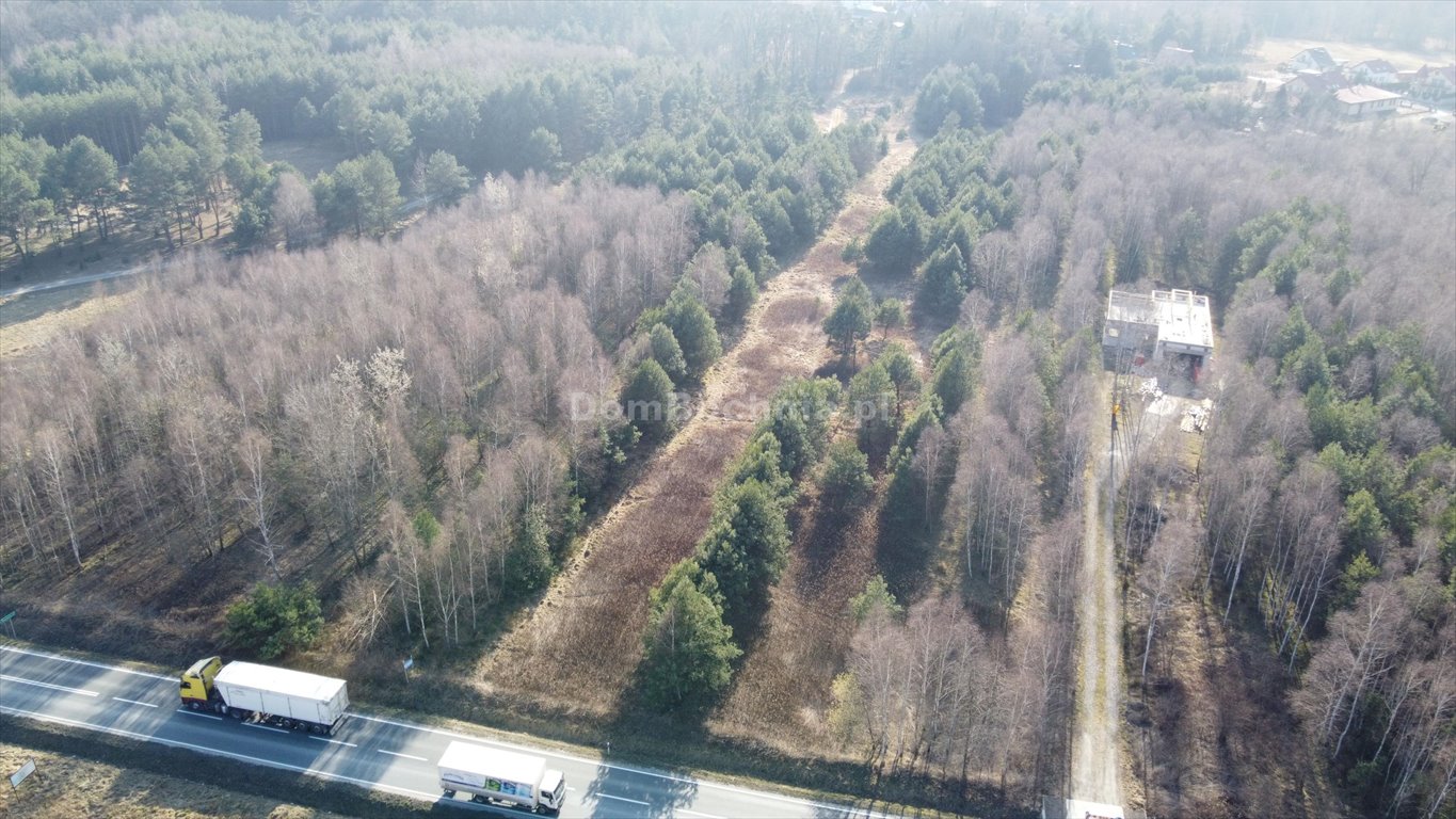 Działka budowlana na sprzedaż Rudy-Rysie  2 600m2 Foto 6