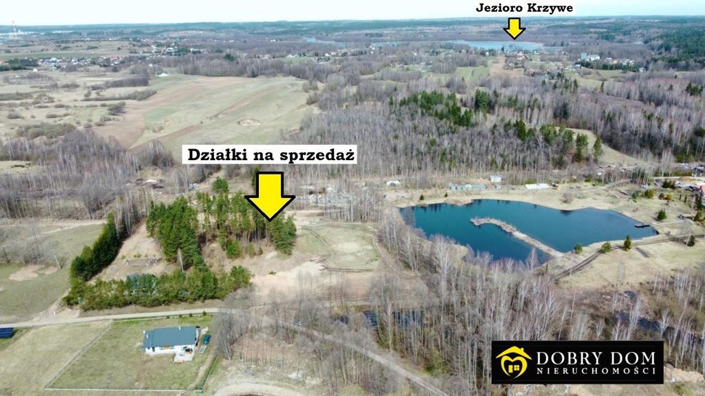 Działka budowlana na sprzedaż Krzywe  3 002m2 Foto 3