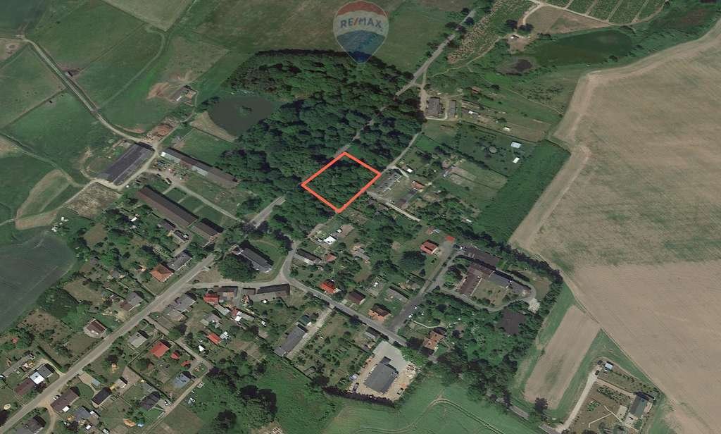 Działka budowlana na sprzedaż Osieki Lęborskie  3 090m2 Foto 4