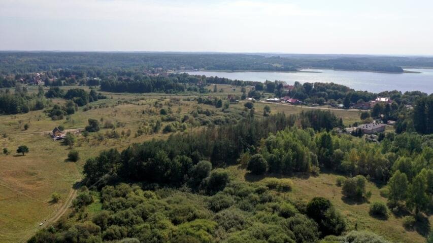 Działka budowlana na sprzedaż Ogonki  8 100m2 Foto 8