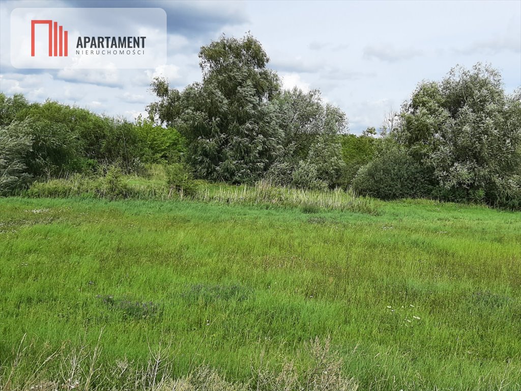 Działka gospodarstwo rolne na sprzedaż Żnin  1 700m2 Foto 4