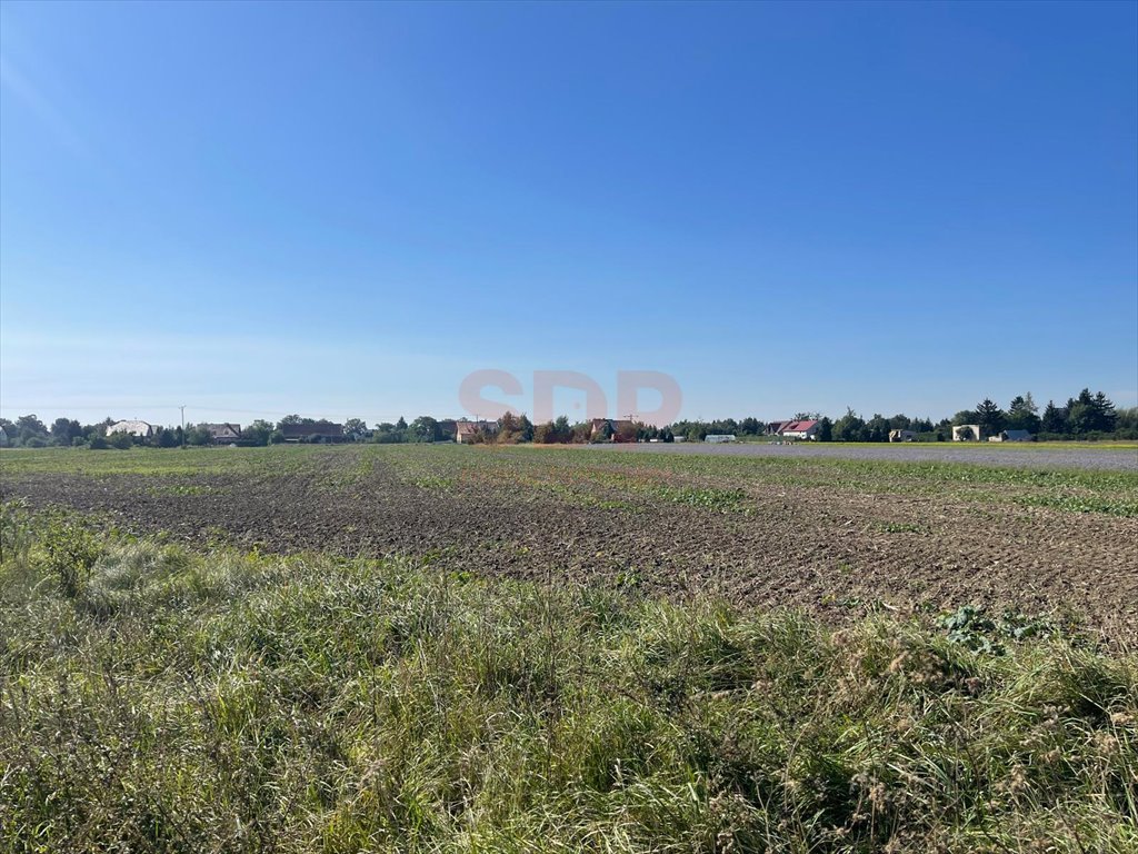 Działka budowlana na sprzedaż Lutynia, Słoneczna  3 000m2 Foto 4