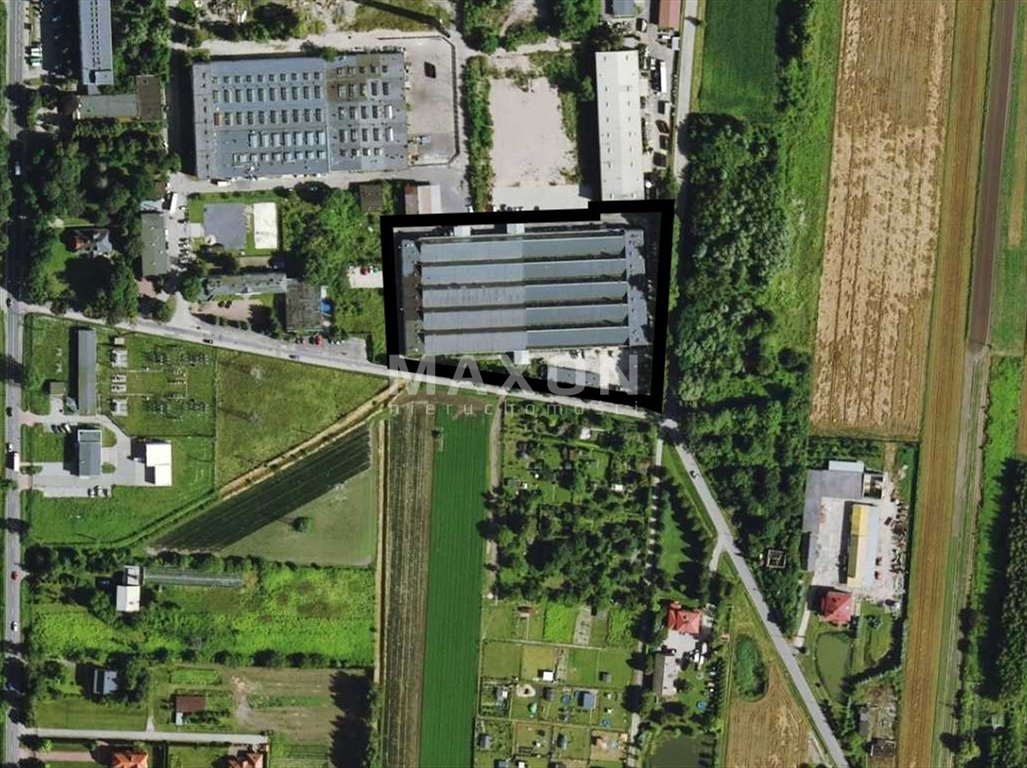 Zdjęcie 7
