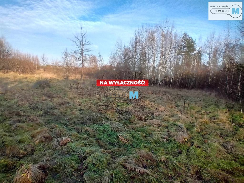 Działka budowlana na sprzedaż Daleszyce, Mójcza, Mójcza  17 841m2 Foto 6